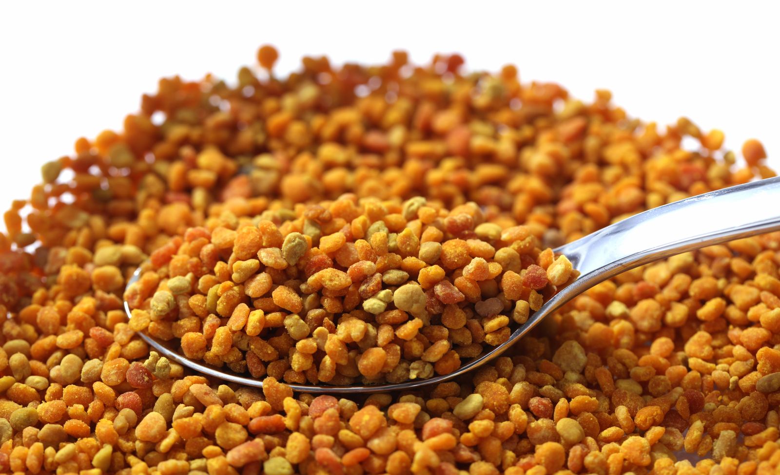 Blütenpollen
